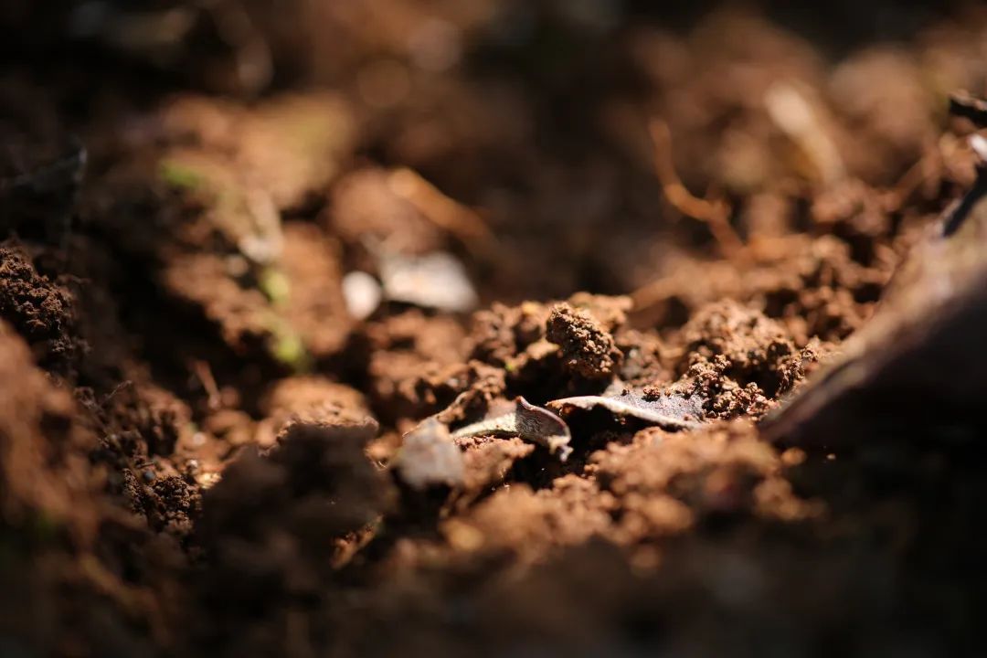 6243c9a2ea0f0.jpg 6243c9a2ea0f0.jpg