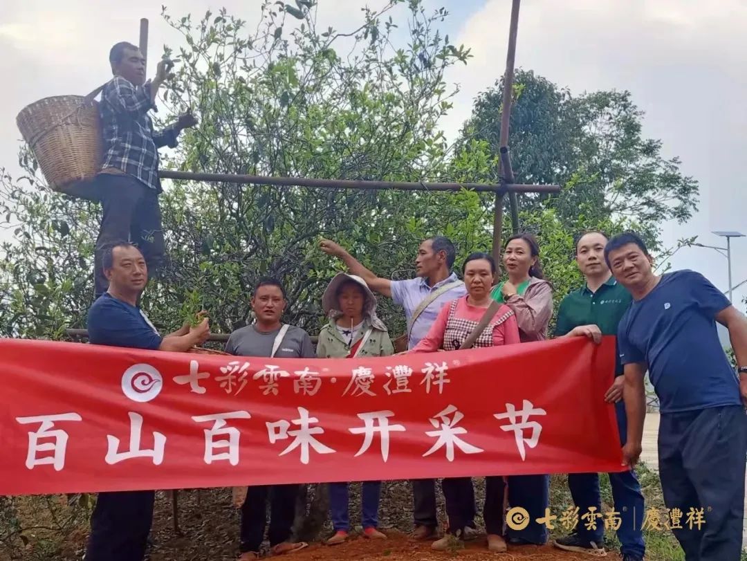 6243cddb77a0d.jpg 6243cddb77a0d.jpg