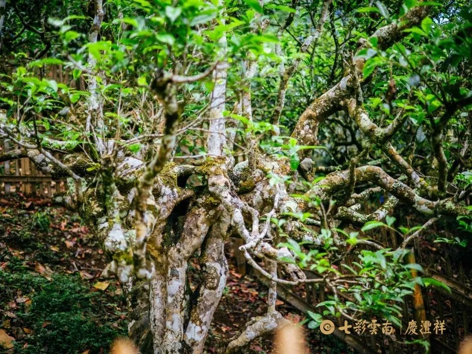 6243ce0d4cc10.jpg 6243ce0d4cc10.jpg