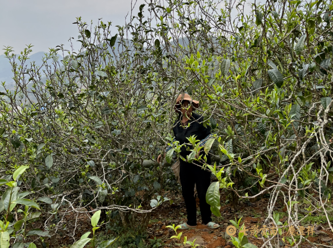 6243ce807bab1.png 6243ce807bab1.png