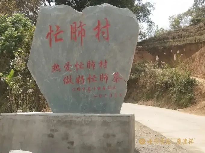 6243cecf2db72.jpg 6243cecf2db72.jpg