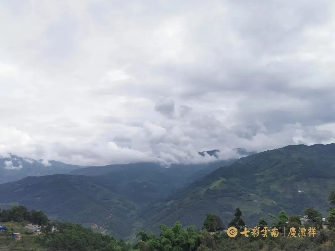 6243cef1a913e.jpg 6243cef1a913e.jpg