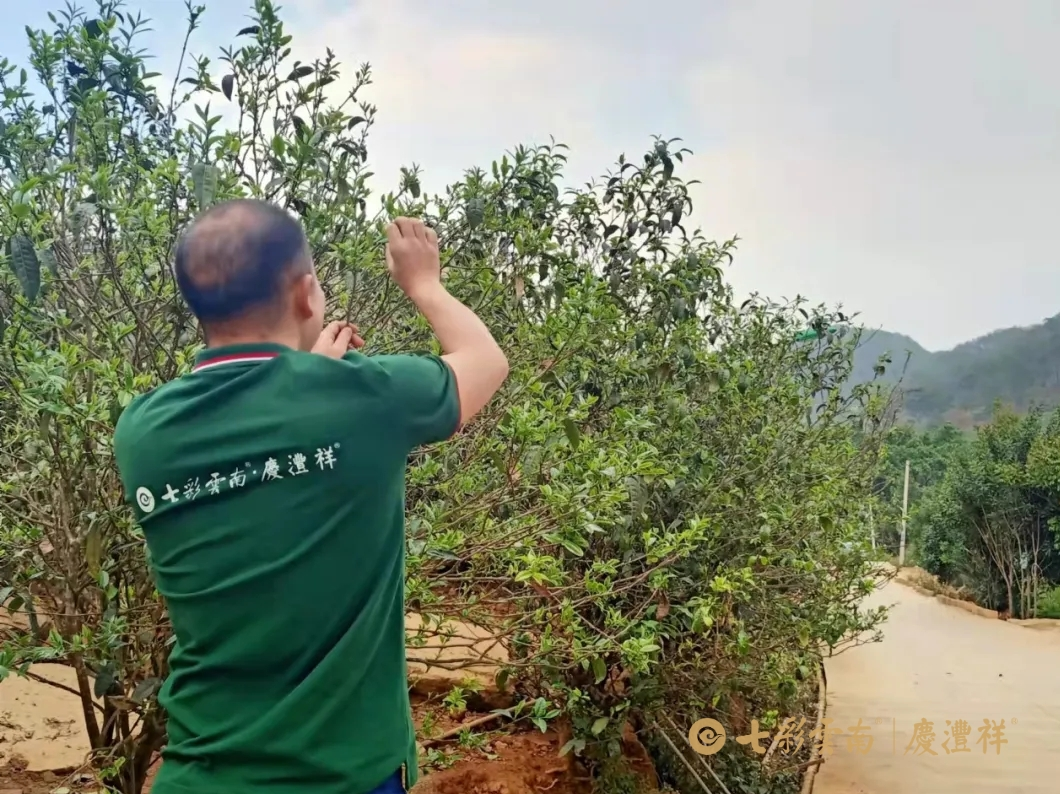 6243cf831384f.png 174a57f128c6b3b6538b328804b4630b.png