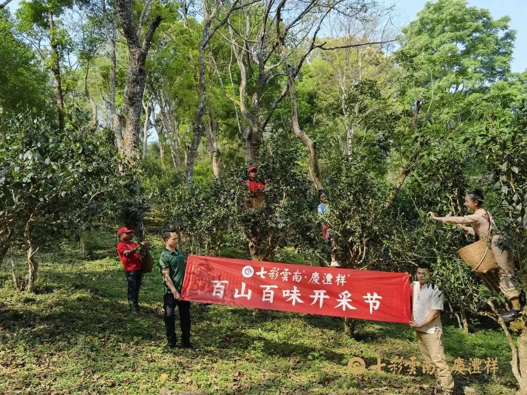 62450998b54f0.jpg 62450998b54f0.jpg