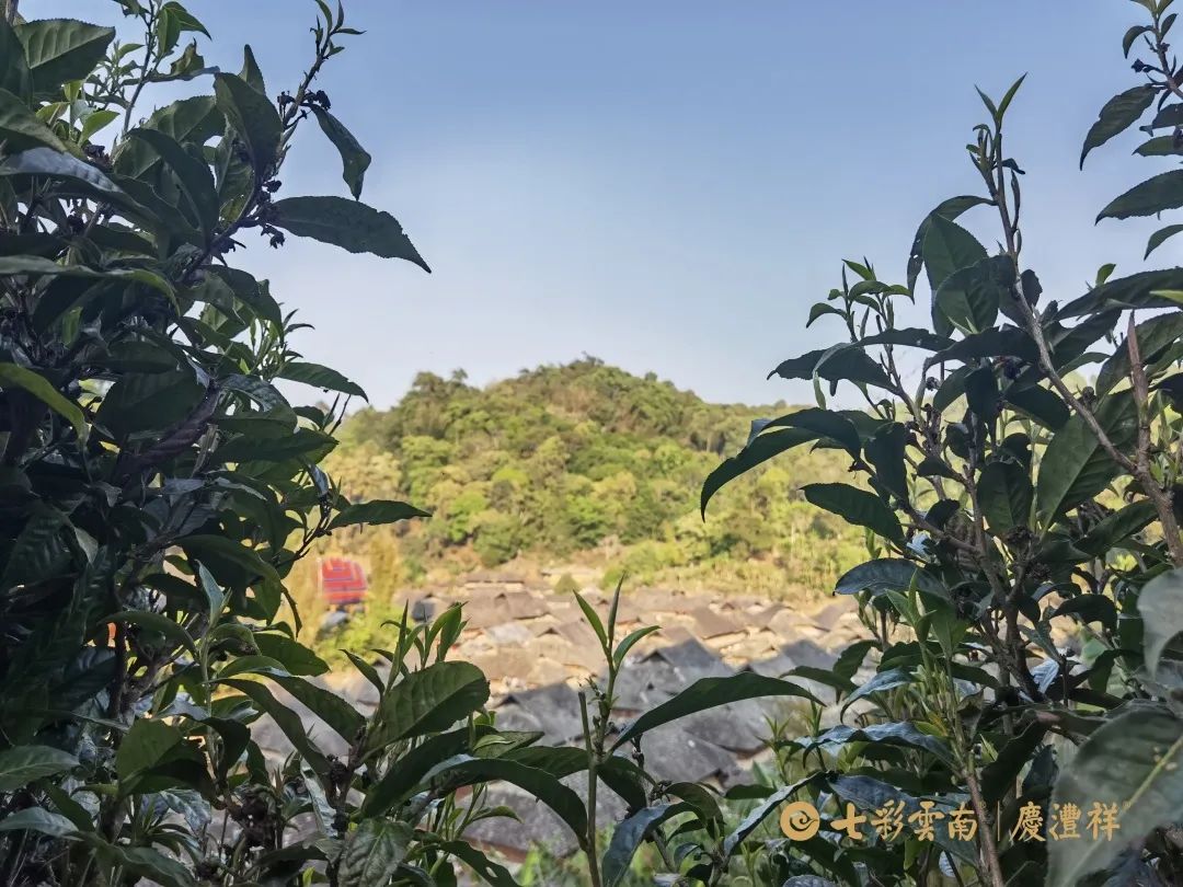 62450b9768561.jpg 62450b9768561.jpg