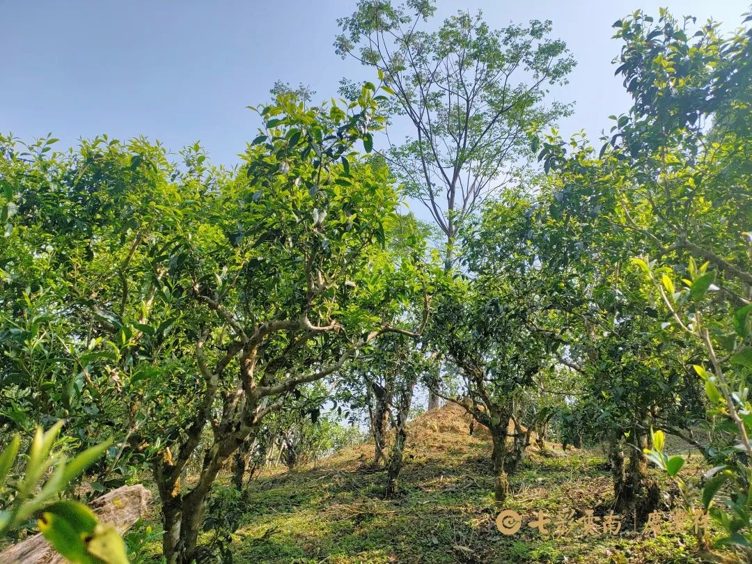 62450bbf92c05.jpg 62450bbf92c05.jpg