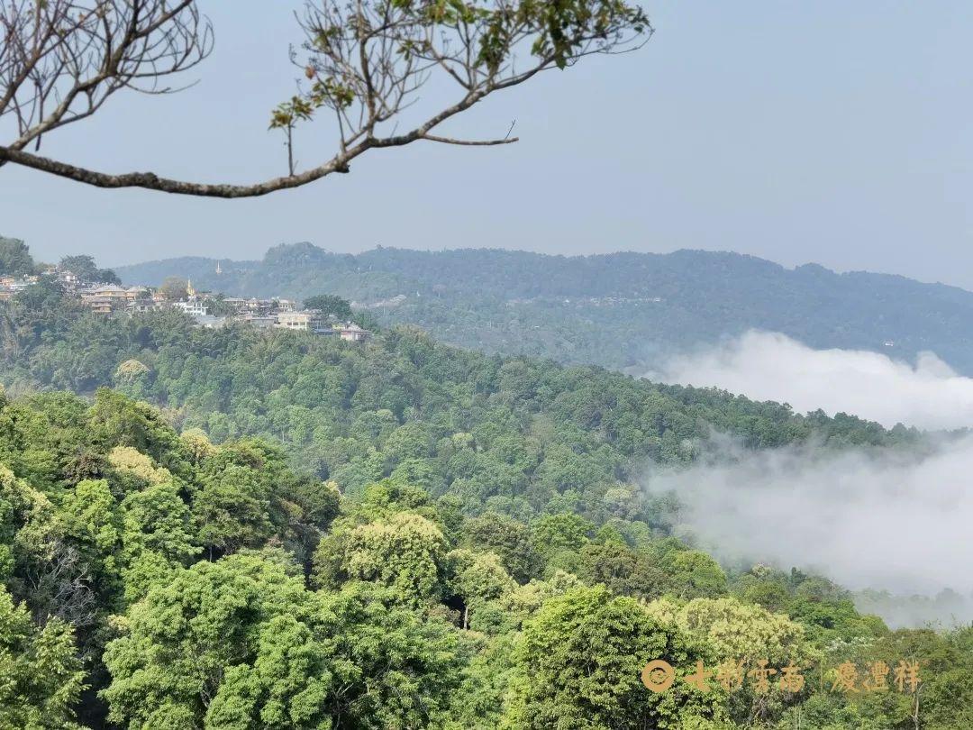 62450c9cb279d.jpg 62450c9cb279d.jpg