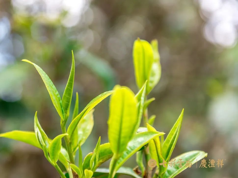 62450d5ea9801.jpg 62450d5ea9801.jpg