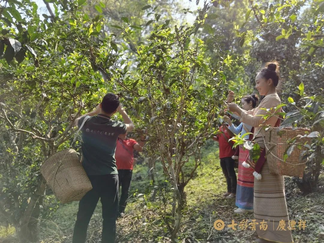 62450dae9ce72.jpg 62450dae9ce72.jpg