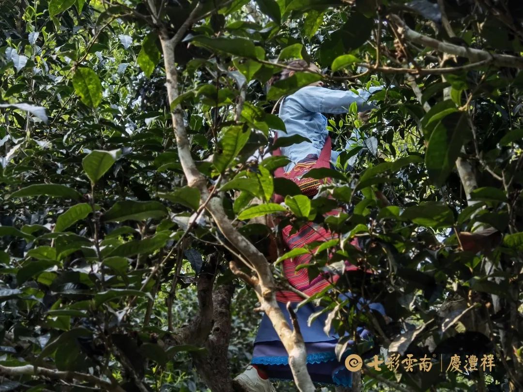 62450dd445e21.jpg 62450dd445e21.jpg