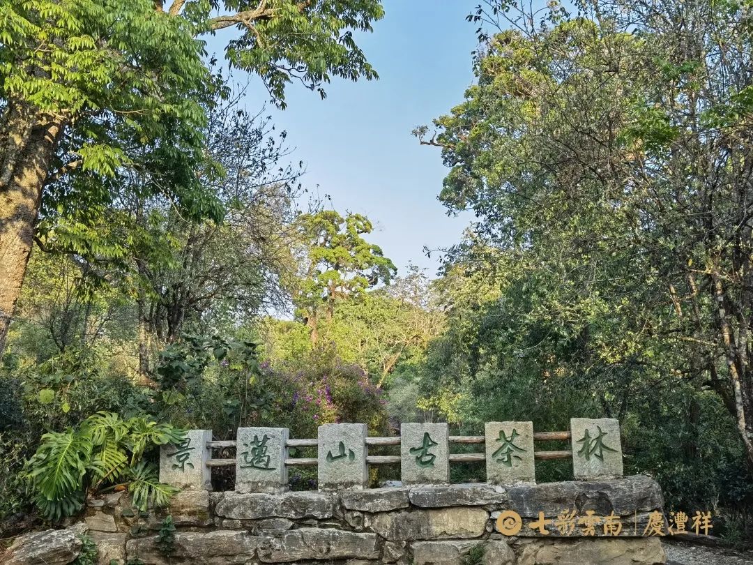 62450e08a2d8a.jpg 62450e08a2d8a.jpg