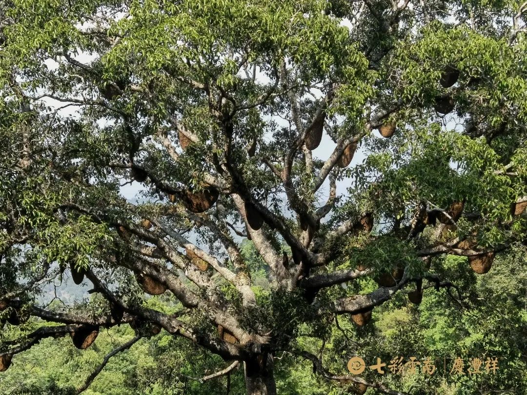 62450e3f60e77.jpg 62450e3f60e77.jpg