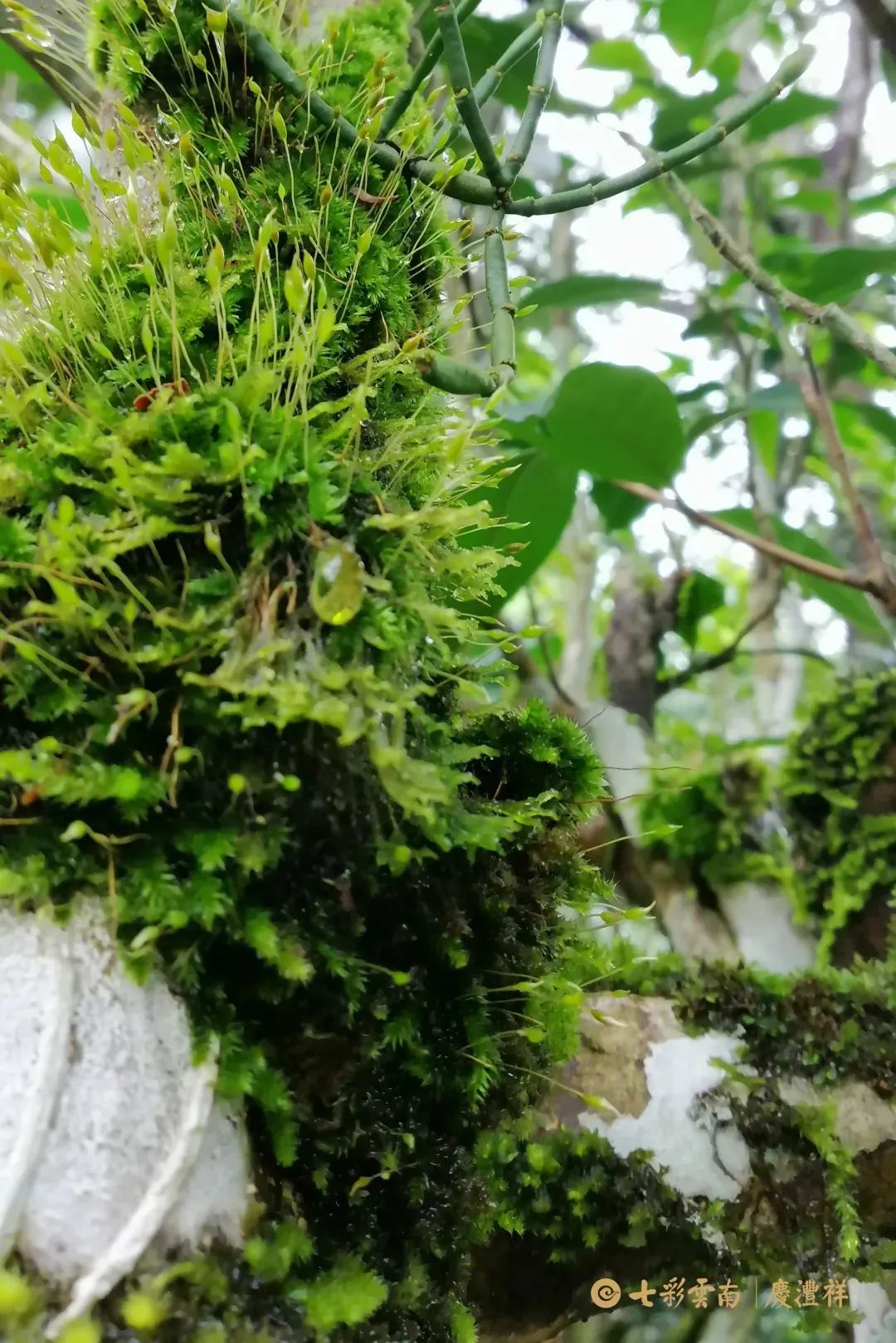 62450e7925846.jpg 62450e7925846.jpg