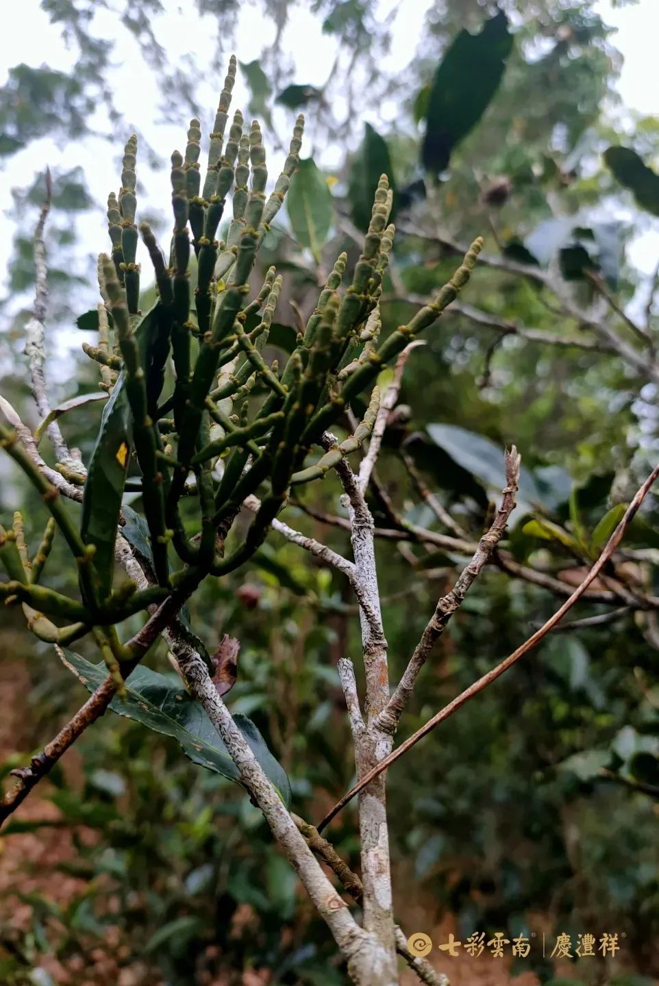 62450e977c060.jpg 62450e977c060.jpg