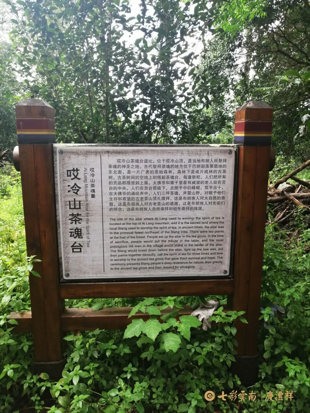 62450ee8b8d38.jpg 62450ee8b8d38.jpg