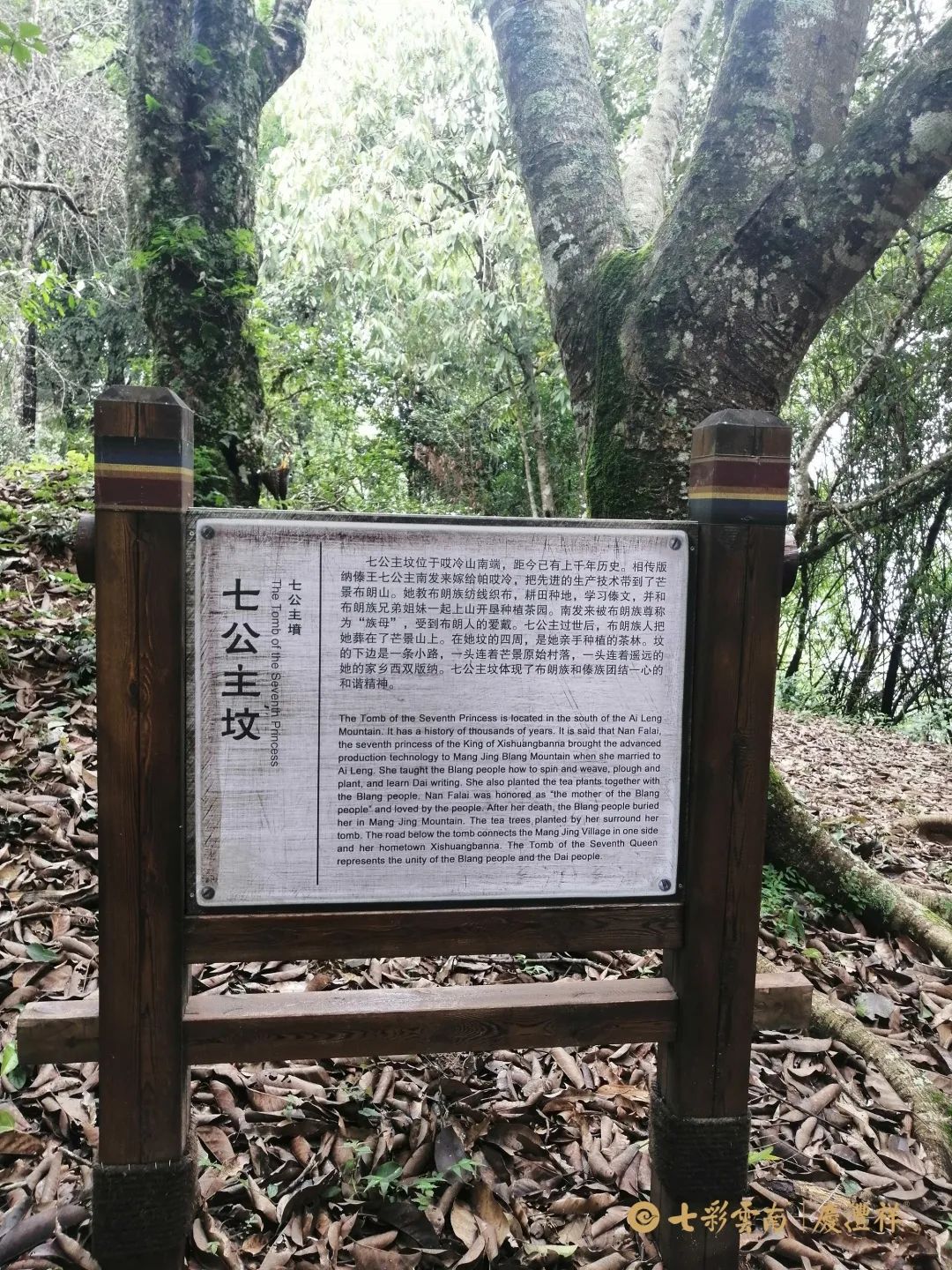 62450f0de86e4.jpg b83d78b47c44745996fb4e4ff932df16.jpg