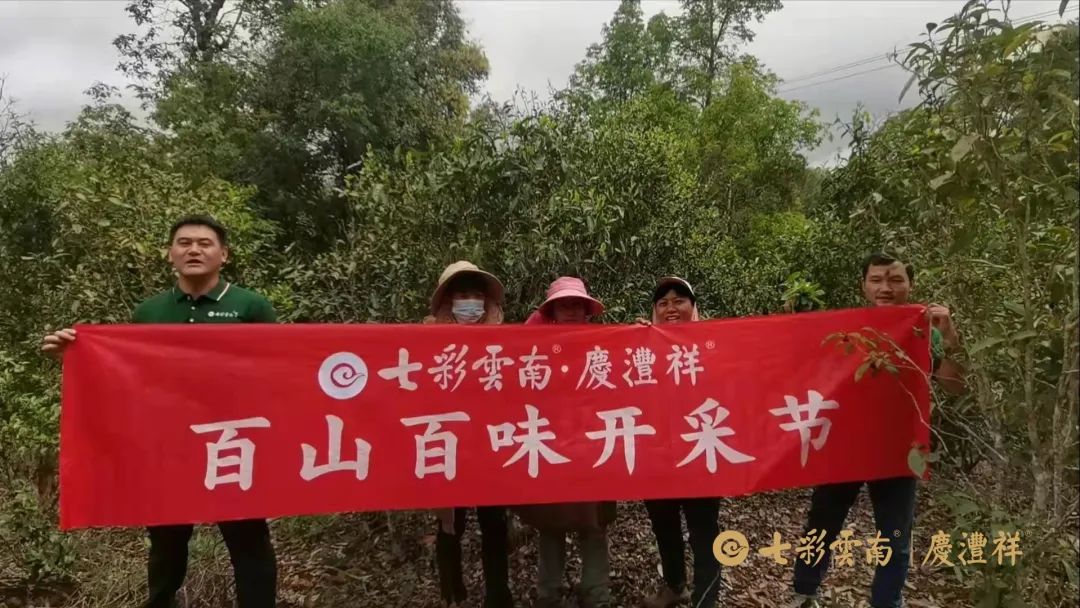 6247c07b067c9.jpg 6247c07b067c9.jpg