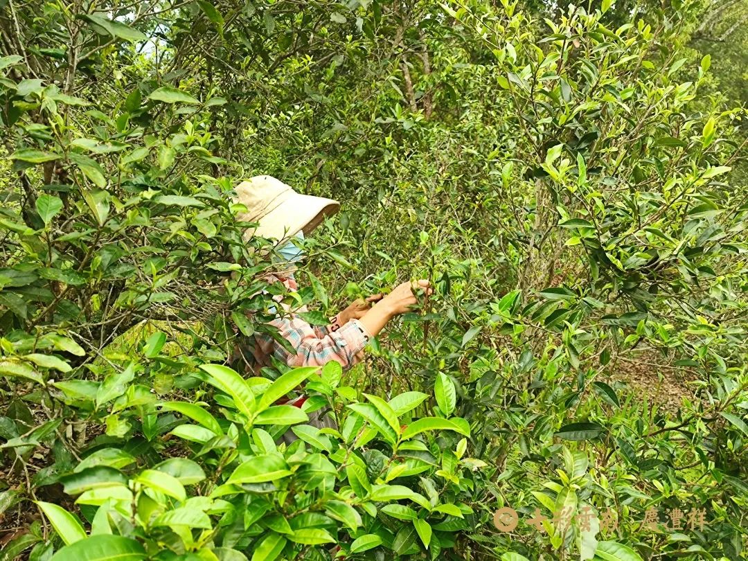 6247c0f8aac4f.jpg 6247c0f8aac4f.jpg