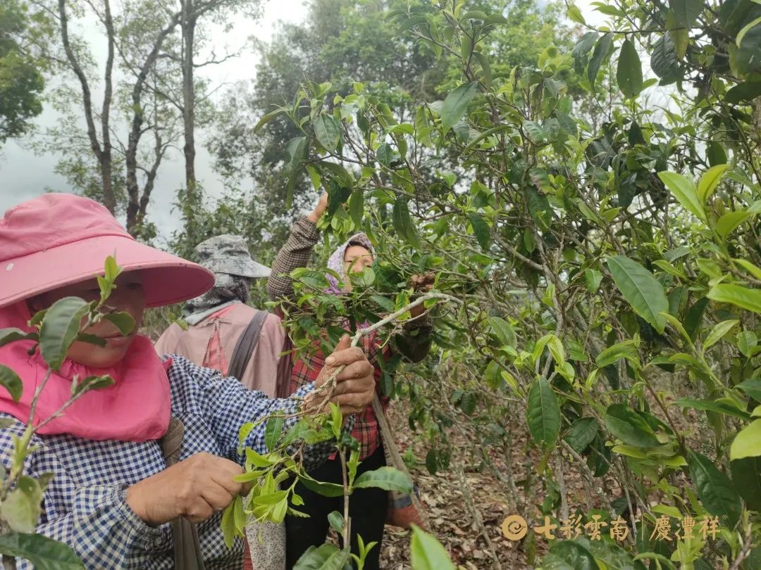 6247c11ace1f9.jpg 6247c11ace1f9.jpg