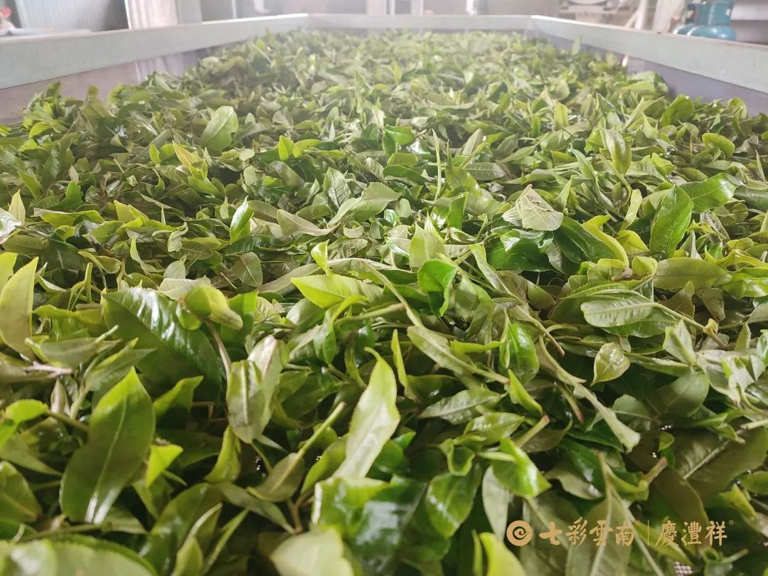 6247c12f5047c.jpg 6247c12f5047c.jpg