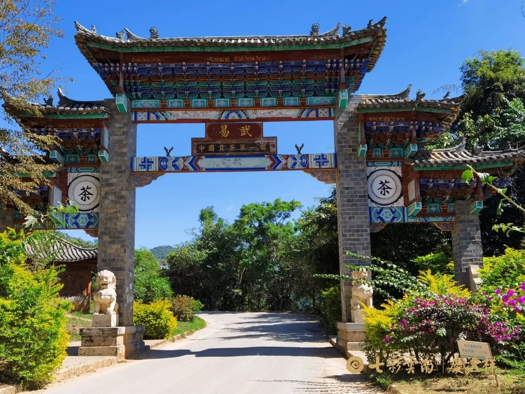 6247c15d51363.jpg 6247c15d51363.jpg