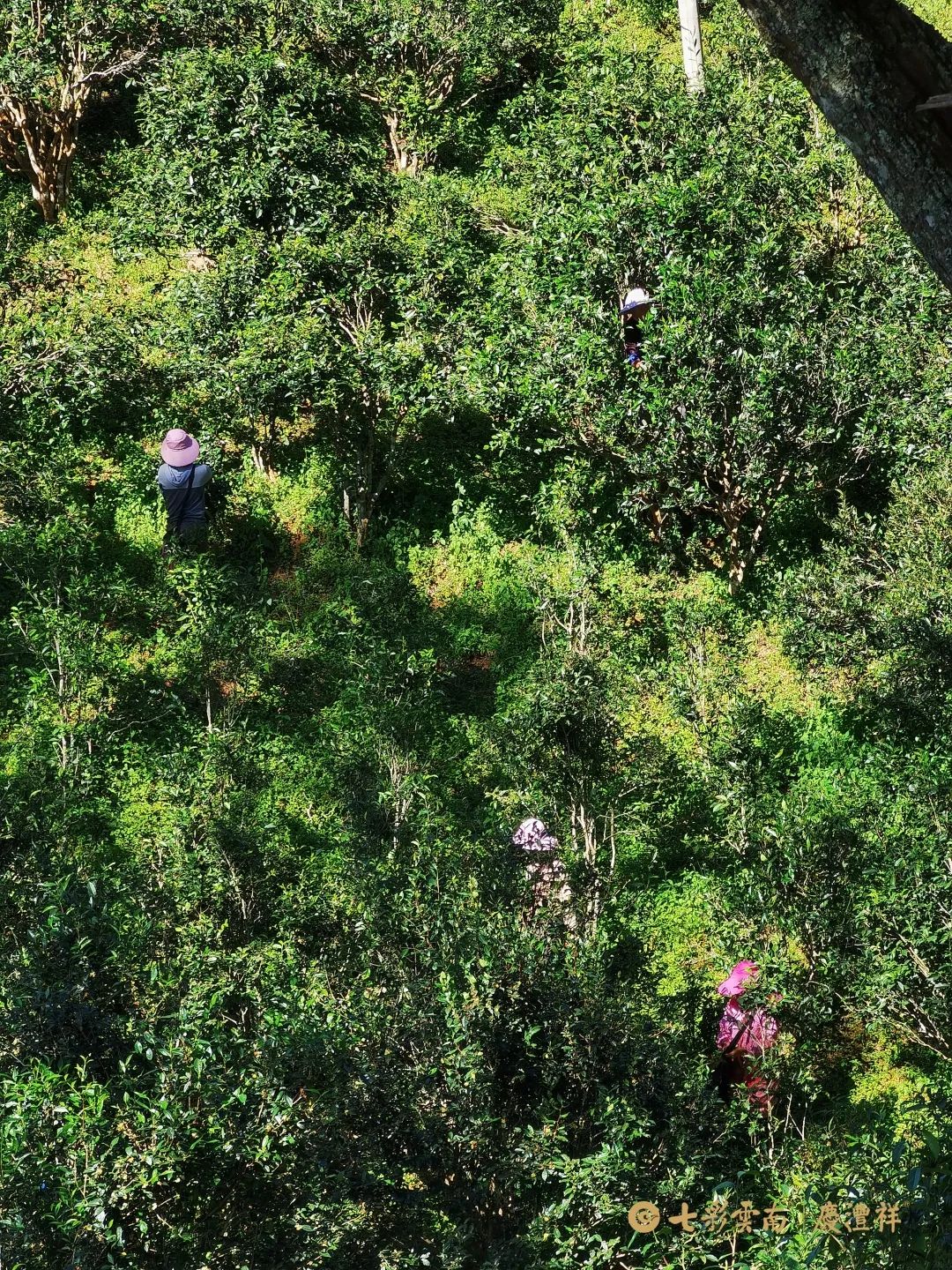 6247c1ece2d37.jpg 6247c1ece2d37.jpg