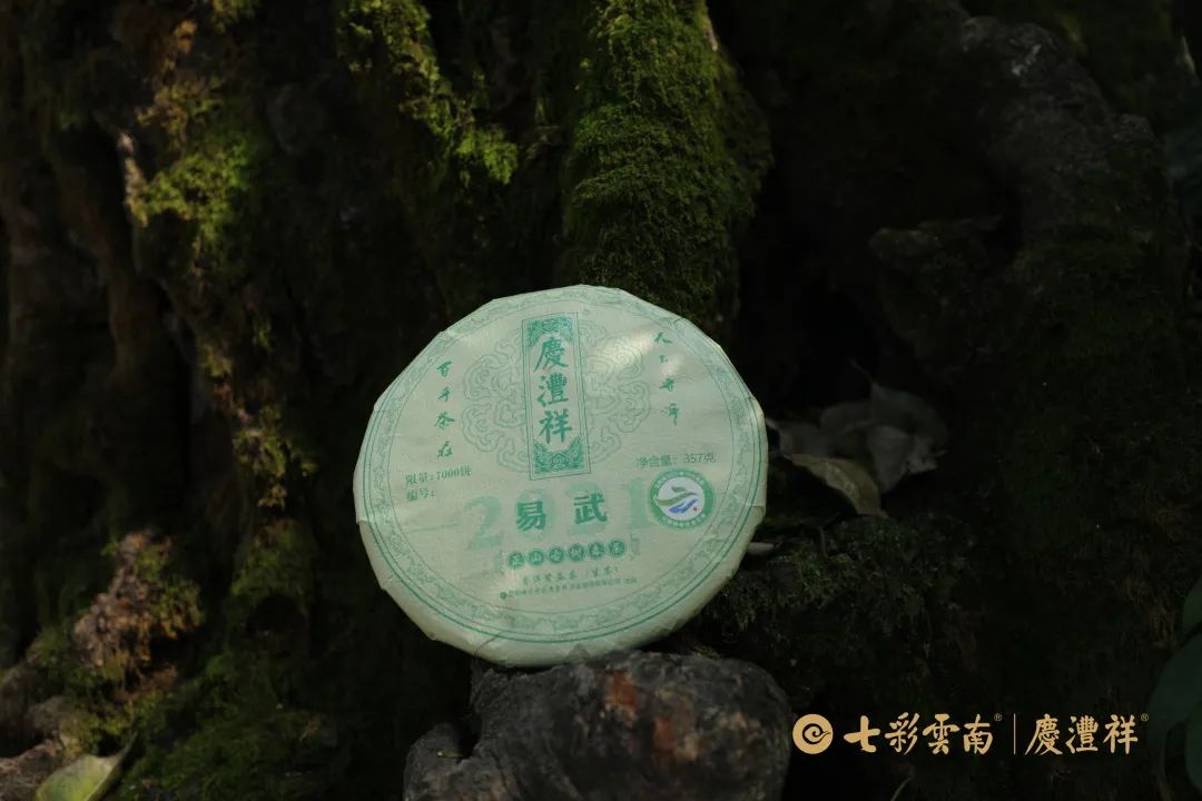 6247c200cb8c4.jpg 6247c200cb8c4.jpg