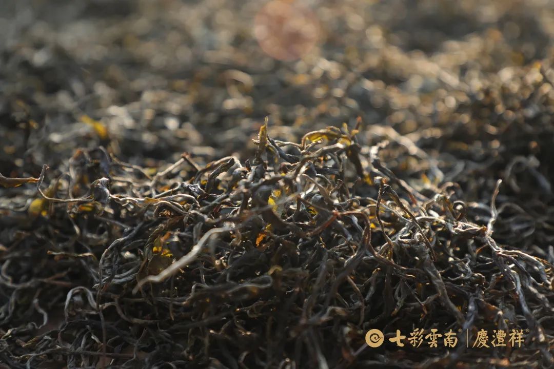 6247c2179ccbe.jpg 6247c2179ccbe.jpg