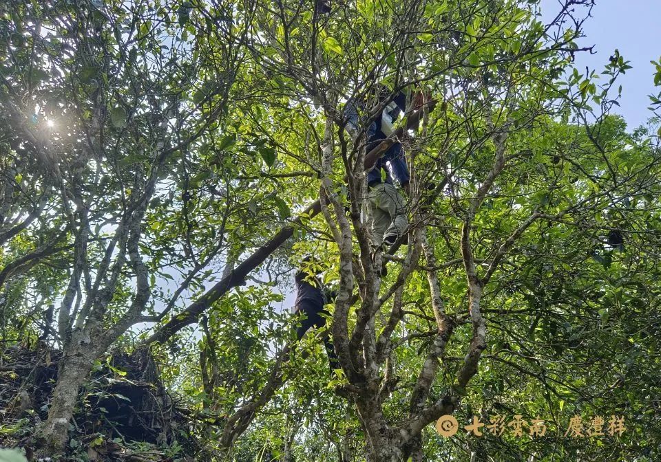 624cf3a7dd7fe.jpg 624cf3a7dd7fe.jpg