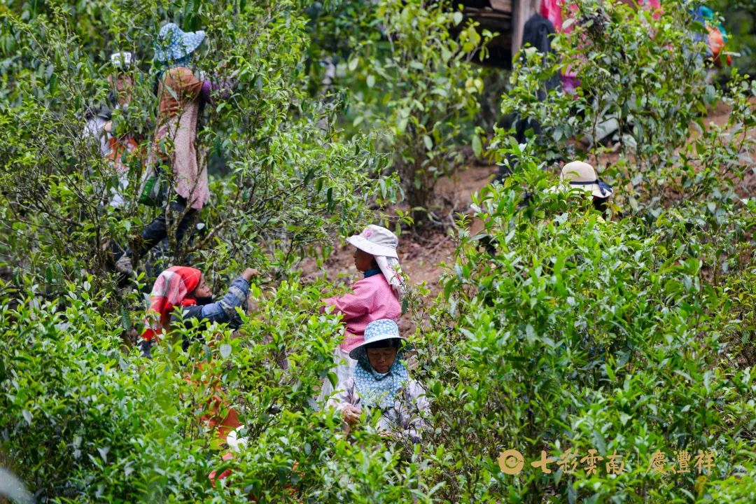 624cf3d45382d.jpg 624cf3d45382d.jpg