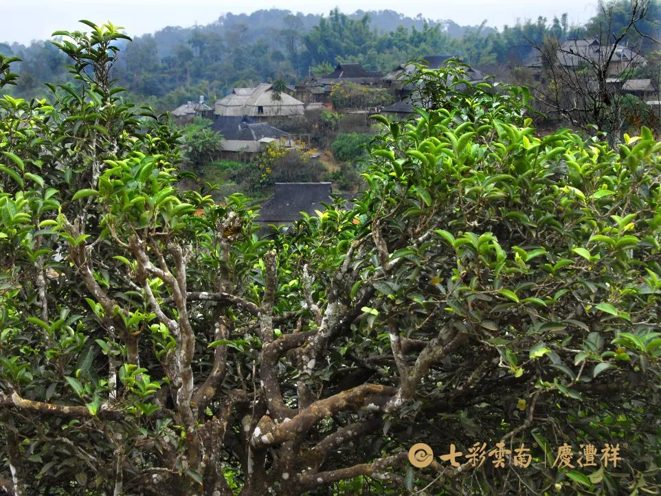 624cf4d21016c.jpg 624cf4d21016c.jpg