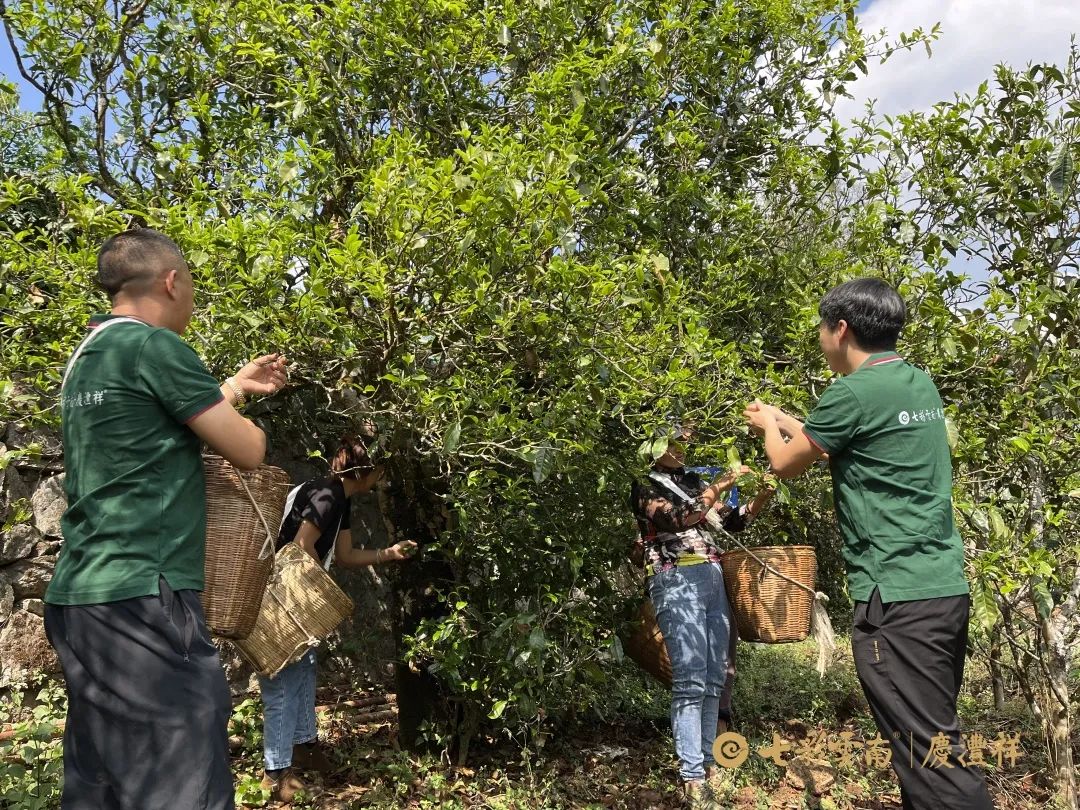 624e7e60d3fbb.jpg 624e7e60d3fbb.jpg