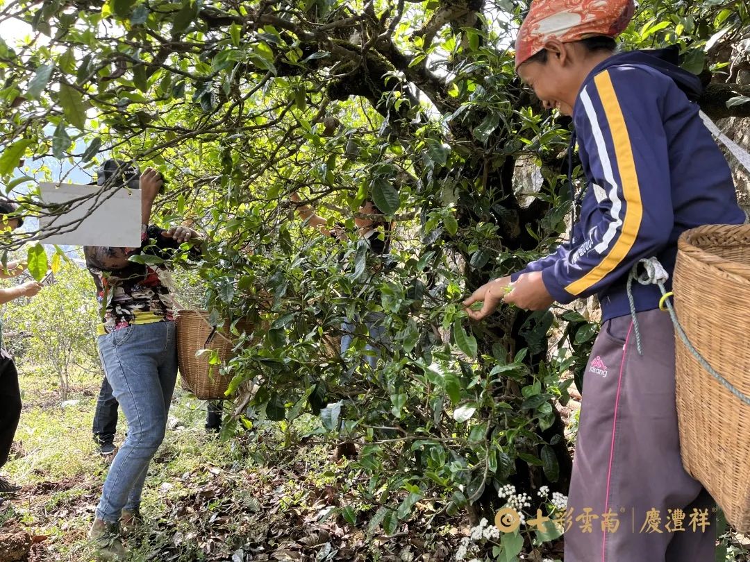 624e7ed255dd2.jpg 624e7ed255dd2.jpg