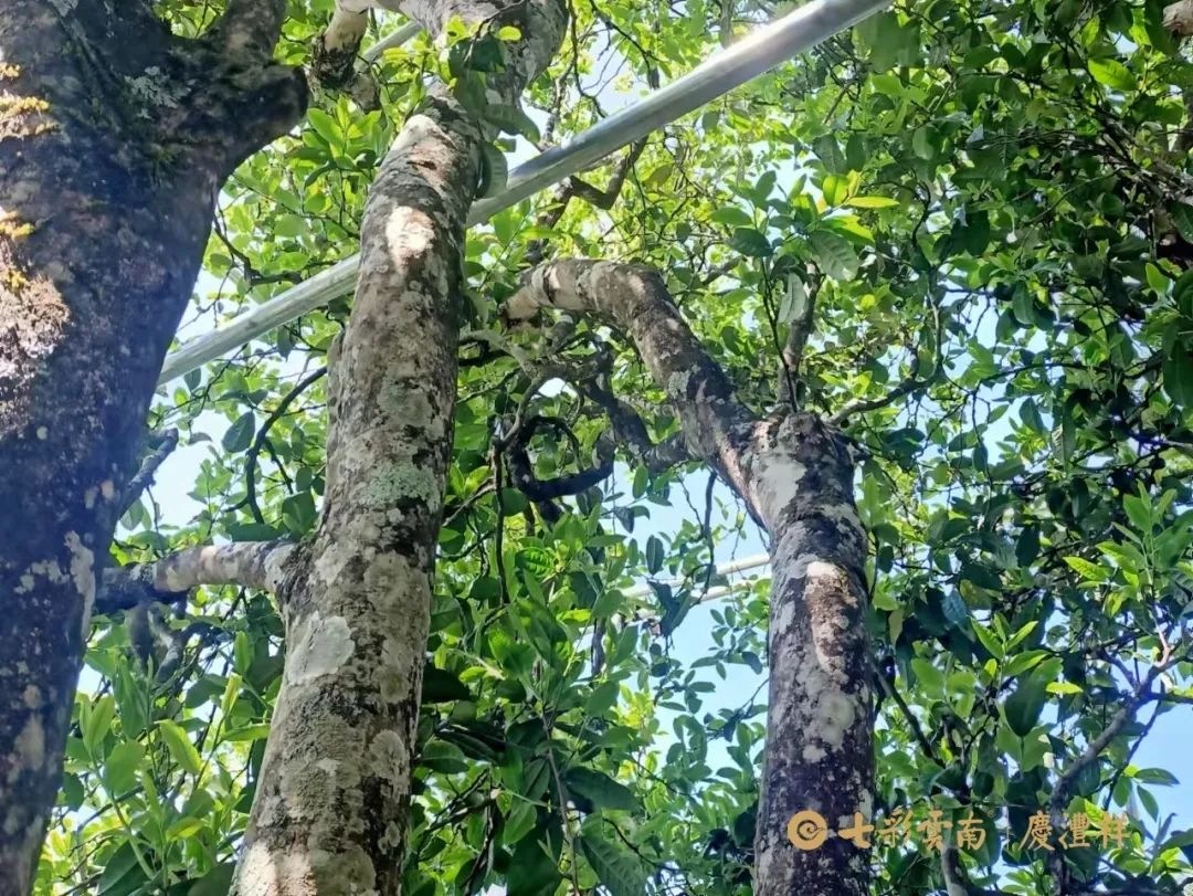 624e7ee759edf.jpg 624e7ee759edf.jpg