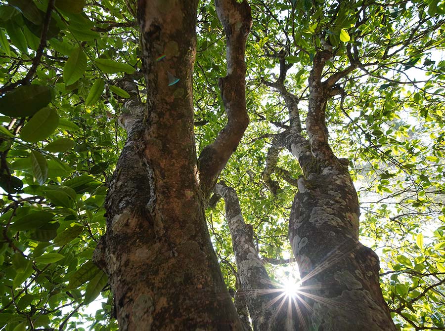 66bc1c0b8e67a.jpg 13.jpg