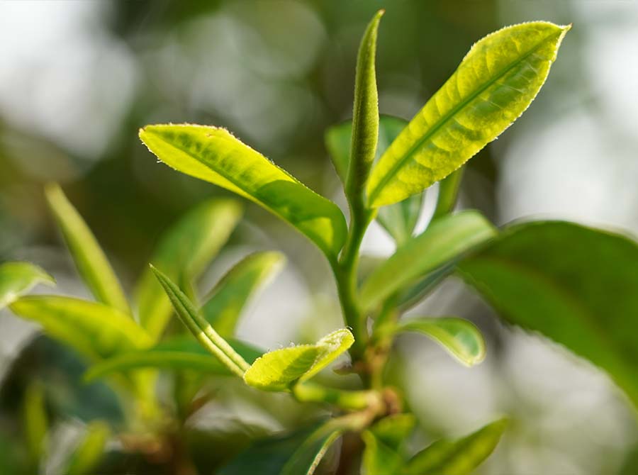 66bc1cf21750c.jpg 14.jpg