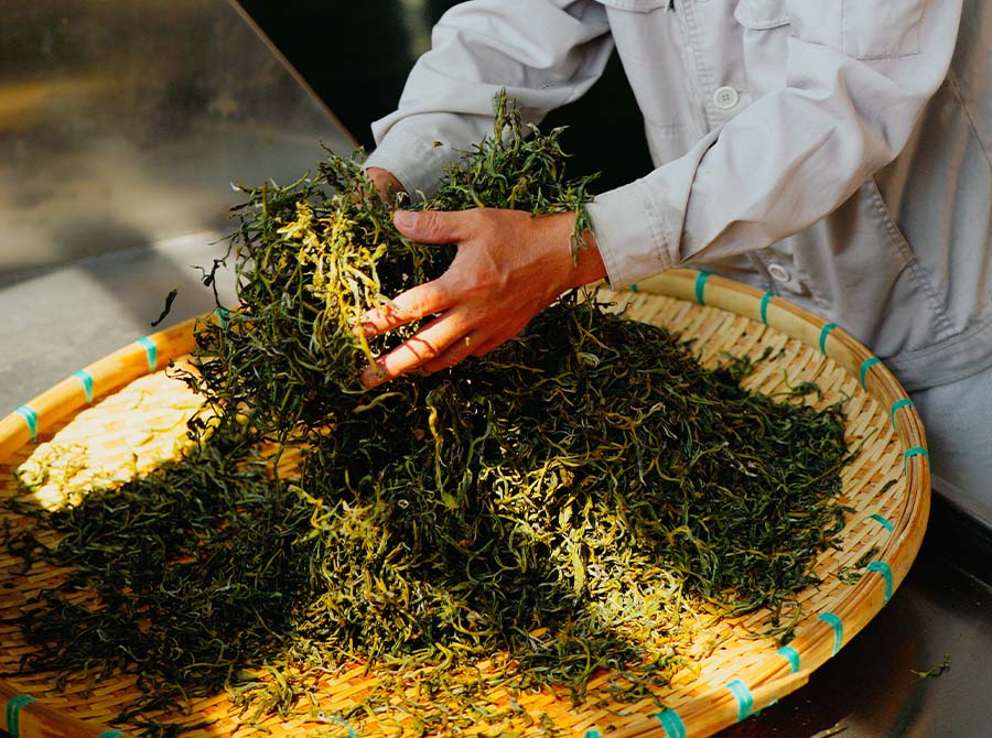 66bc1e2b33ace.jpg 16.jpg