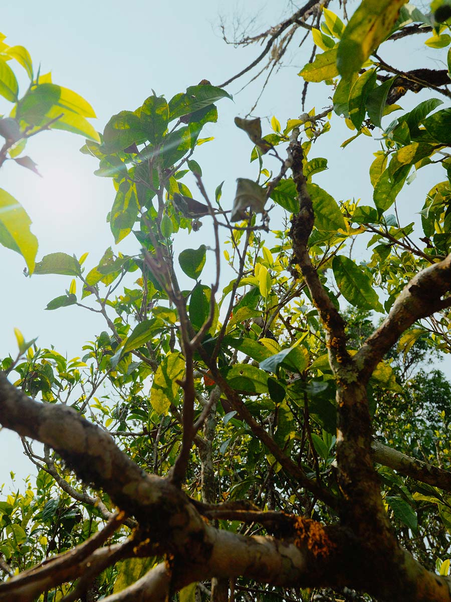 66bc21df7bffd.jpg 19.jpg