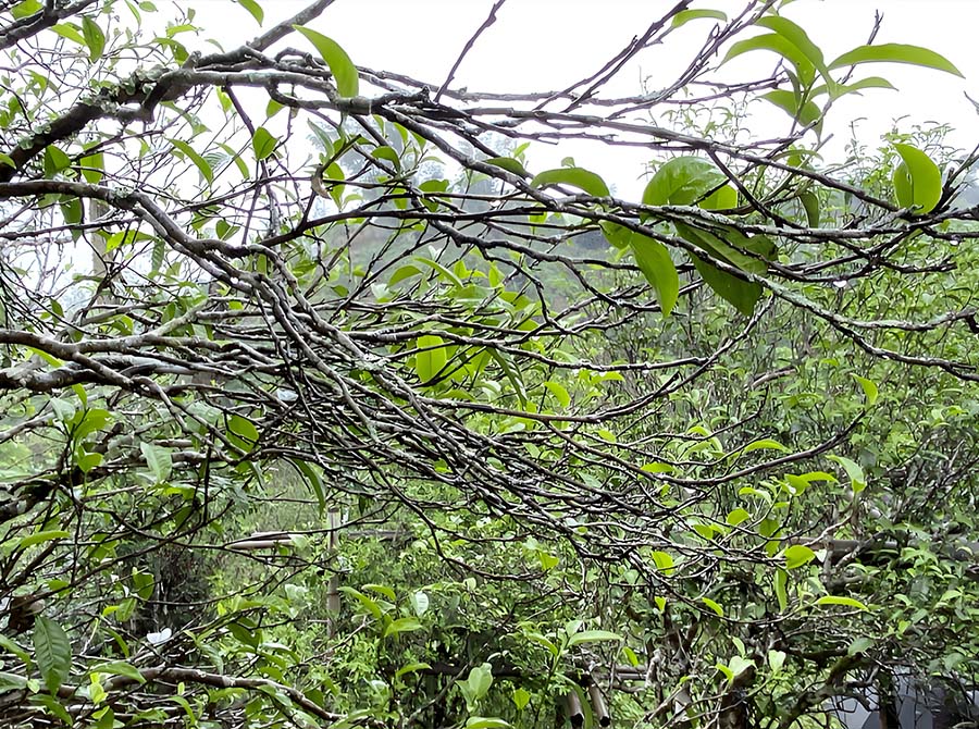 66bc2480616a7.jpg 31.jpg