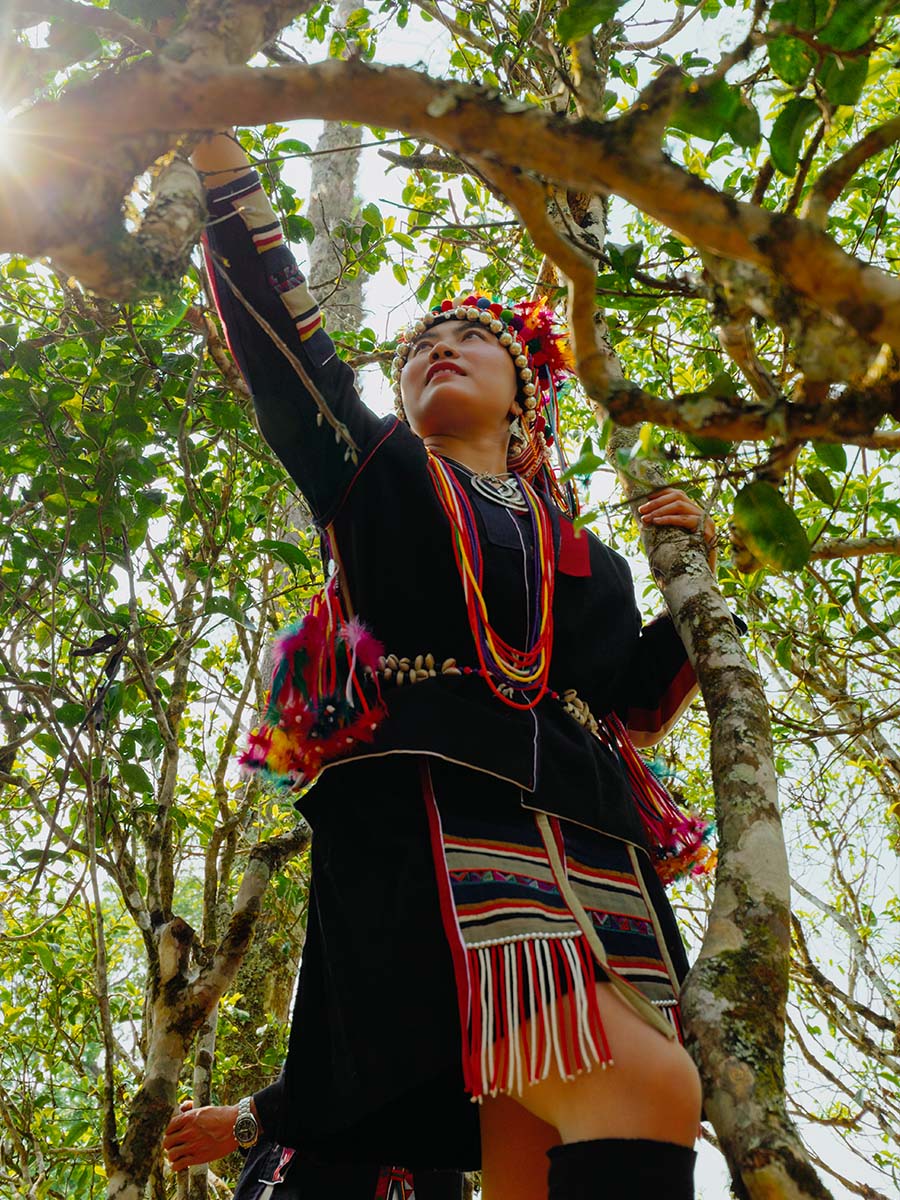 66bc491e66798.jpg 56.jpg