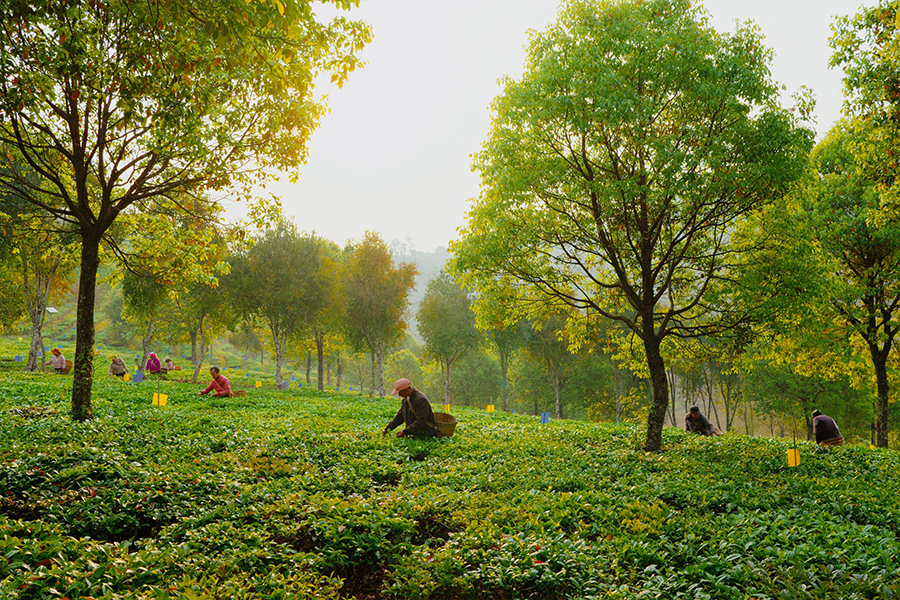 66c2f82ac3b08.jpg 61.jpg