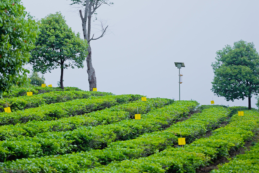 66c30350f1f70.jpg 60.jpg