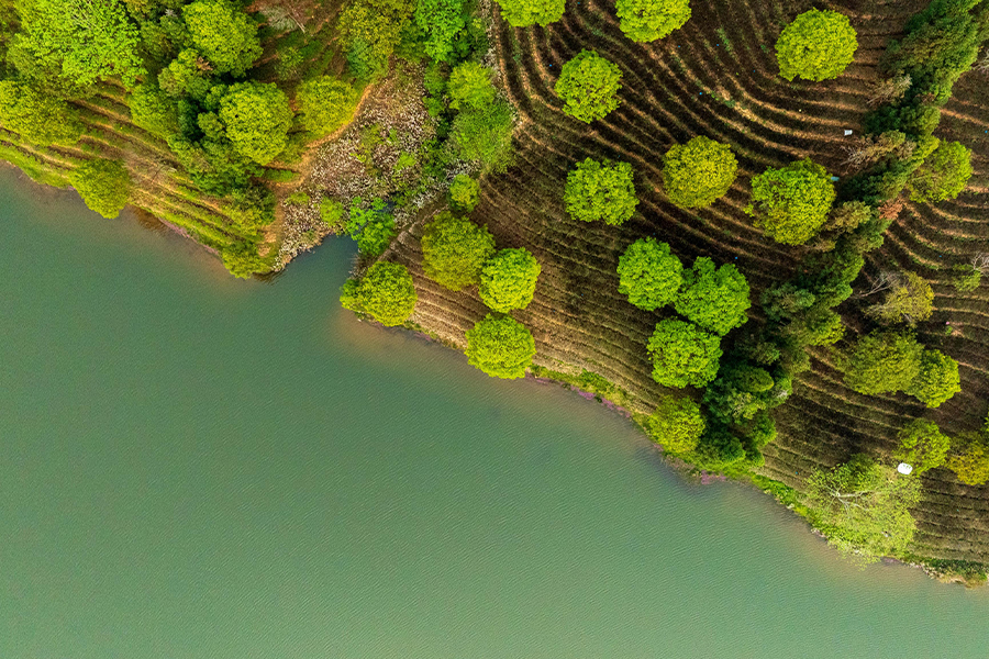 66c304848a352.jpg 73.jpg