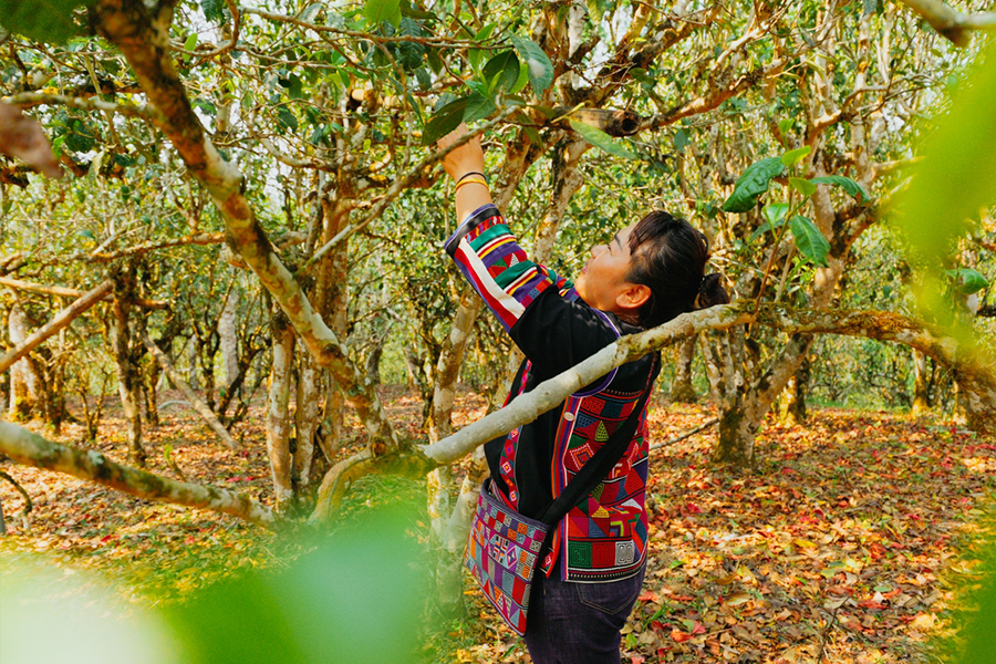 66c3073be3213.jpg 13.jpg