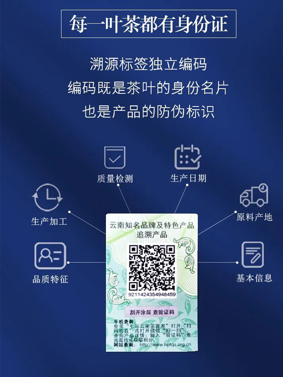 66c30975567b8.jpg 22.jpg