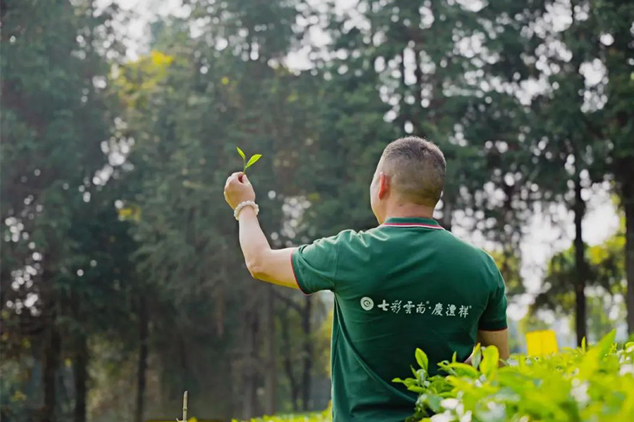 66c442b02568c.jpg 畫板 4.jpg