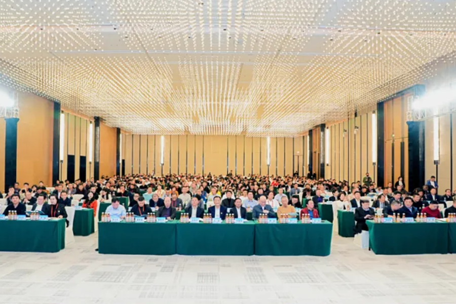 674e66ce3be5e.png 畫板 1.png