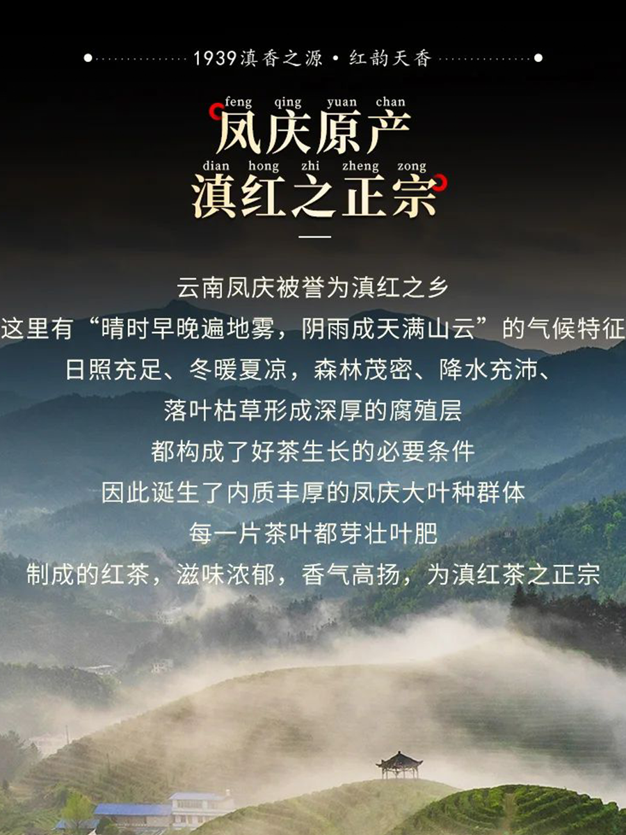 畫(huà)板 3豎圖.png