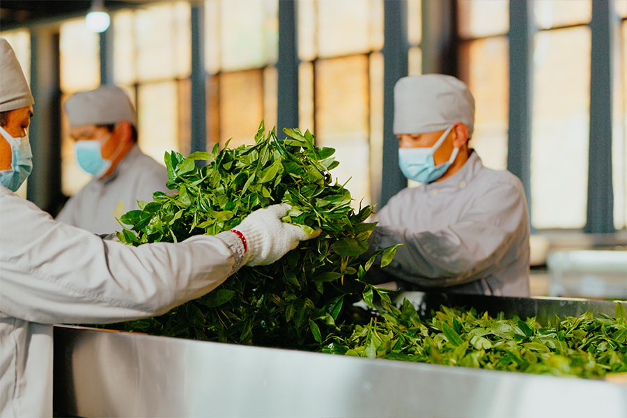 675aa4549b3e9.jpg 19.jpg