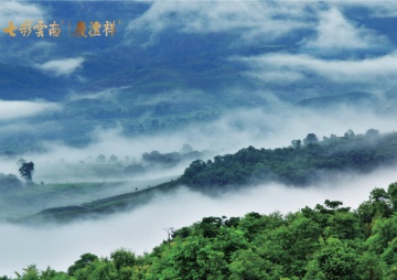 古韻尋蹤“茶山行‘